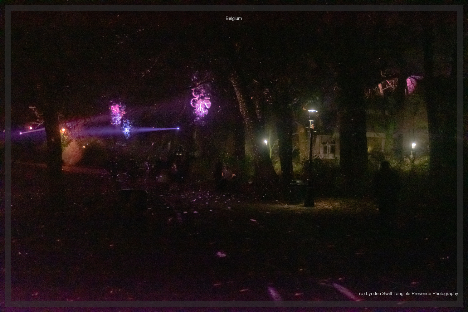  Light show. Bruges. 