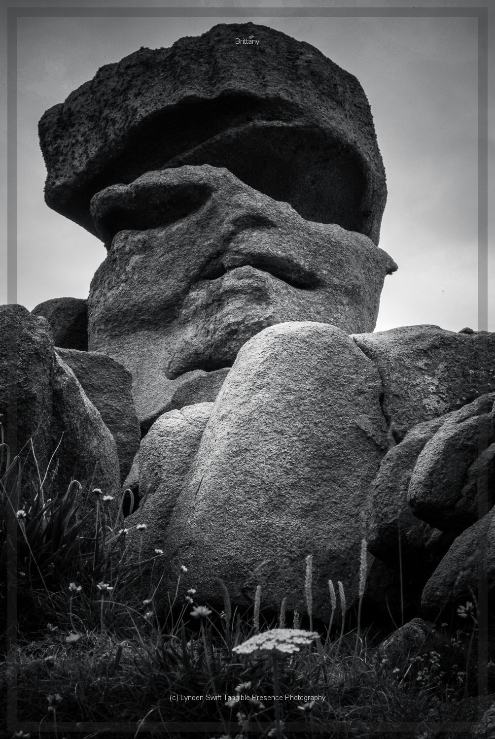  Pink Granite Coast, Brittany 
