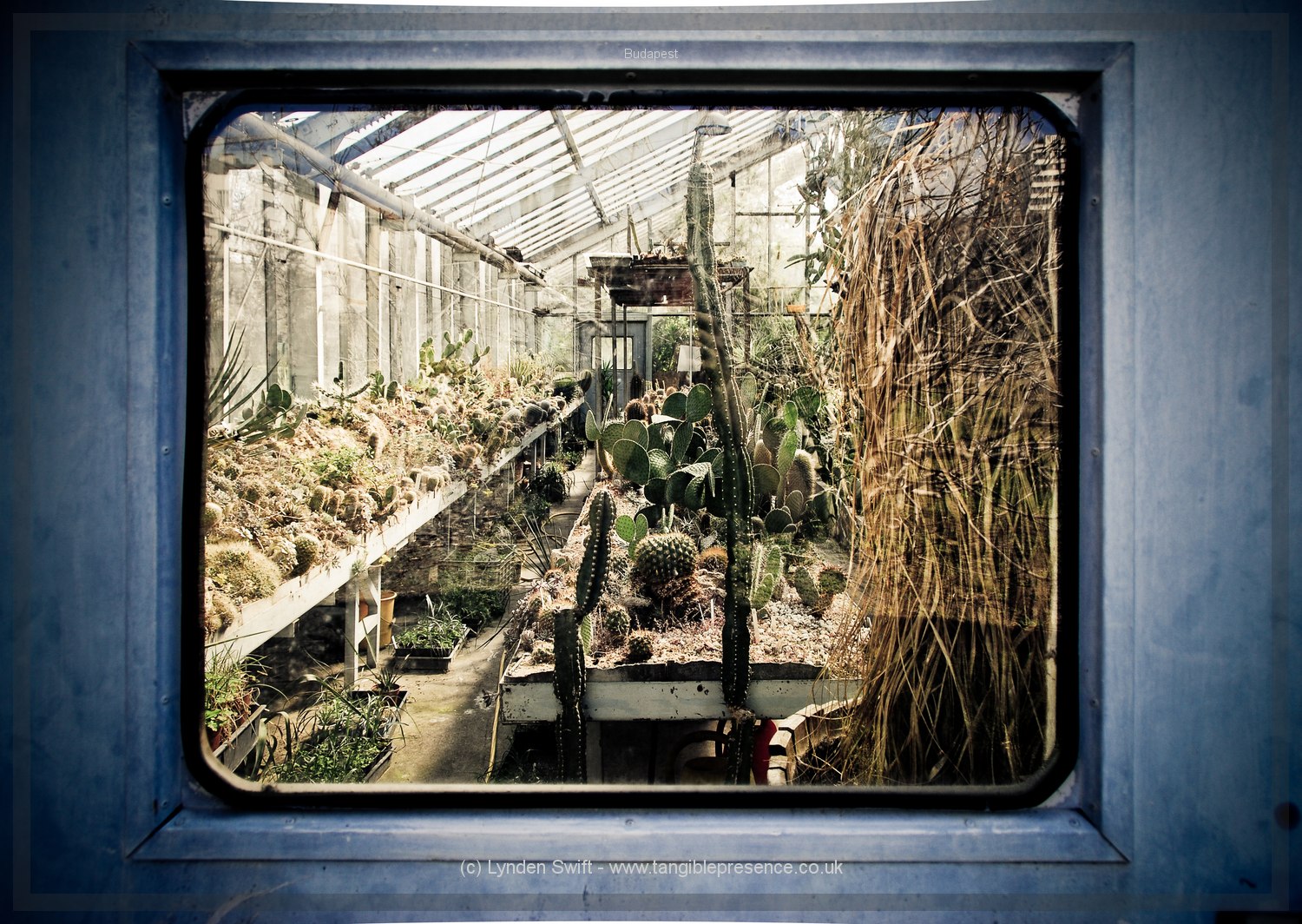  Botanic Gardens, Budapest, Hungary | Tangible Presence | Photography by Lynden Swift 