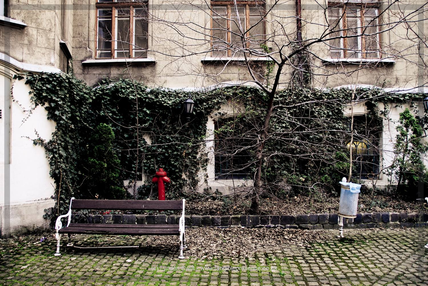  Castle District, Budapest, Hungary | Tangible Presence | Photography by Lynden Swift 