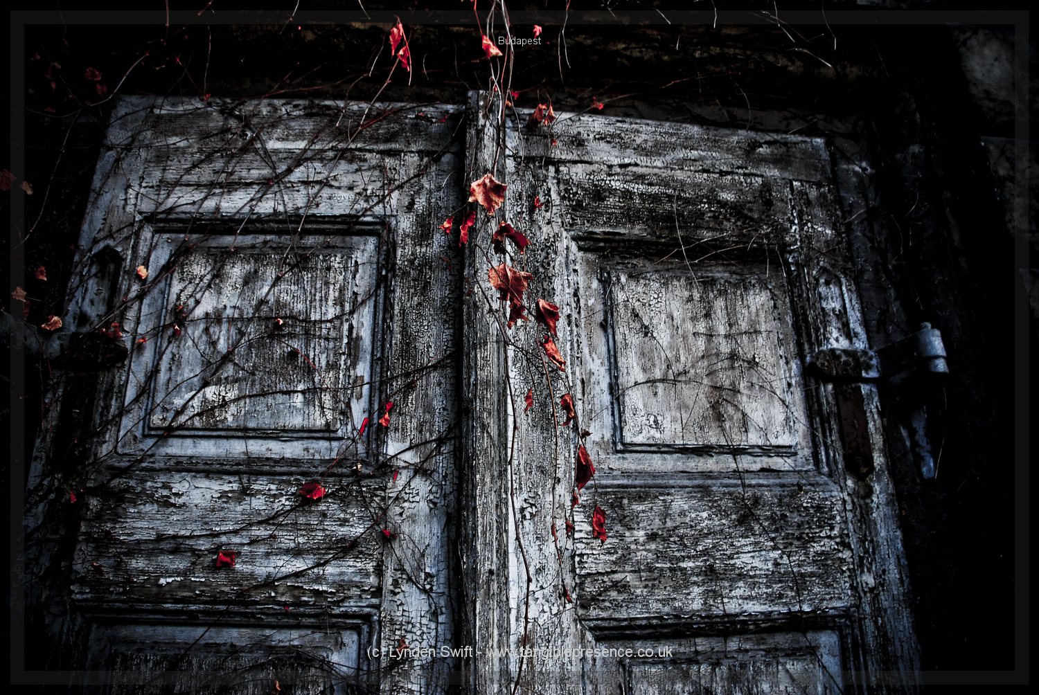  Botanic Gardens, Budapest, Hungary | Tangible Presence | Photography by Lynden Swift 