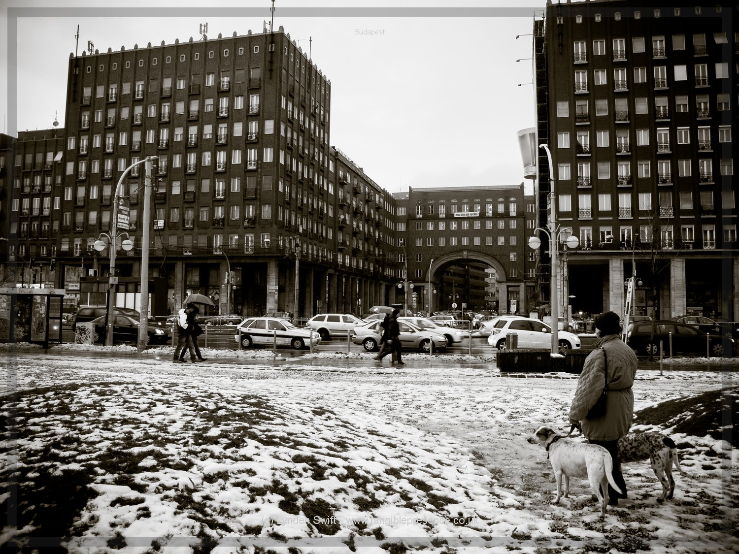  Woman with dogs, Budapest, Hungary | Tangible Presence | Photography by Lynden Swift 