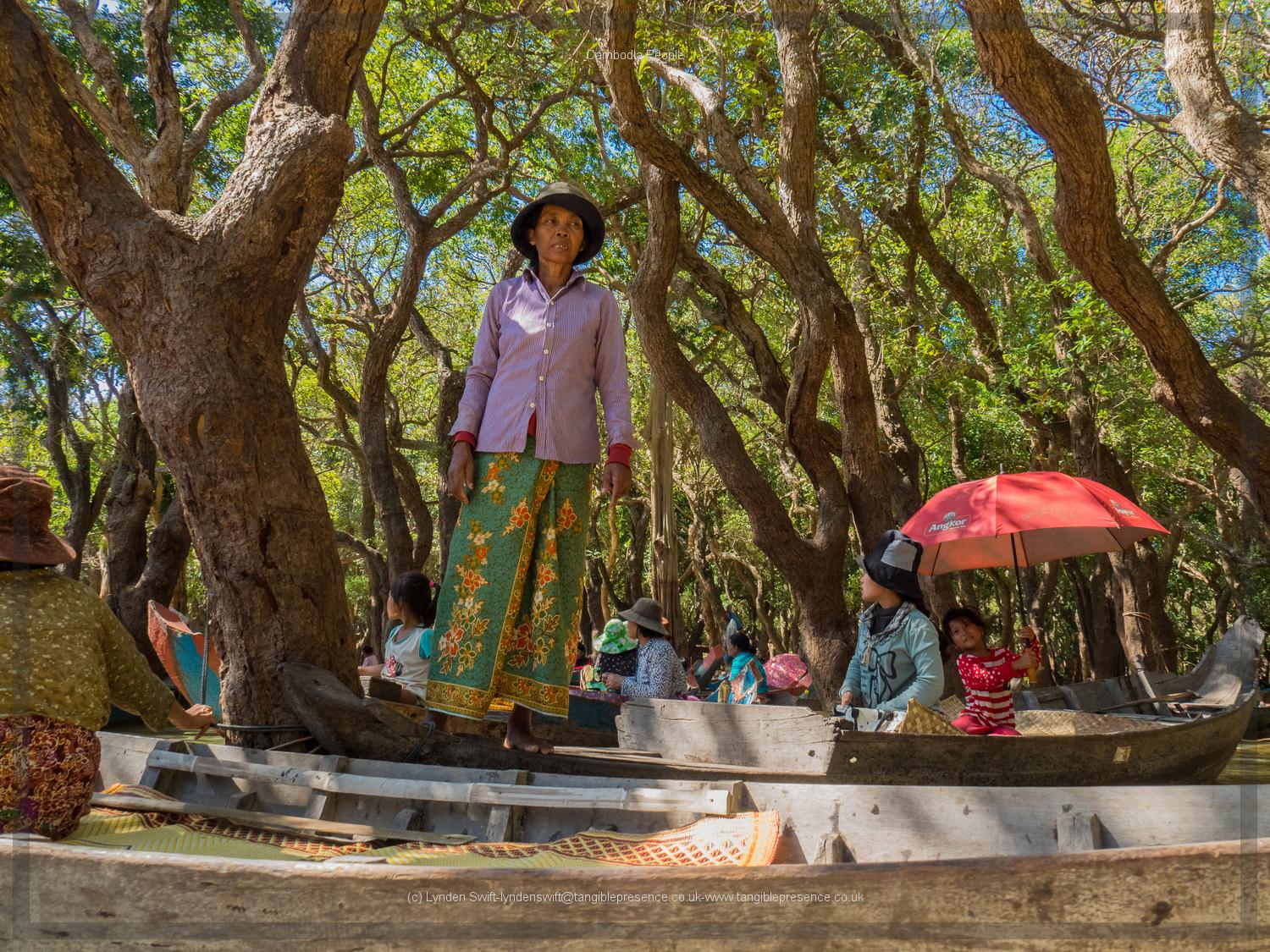  Boats in the mangrove forest, Tonle Sap Lake.  