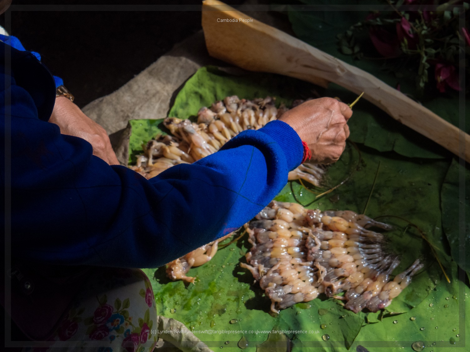  Frogs. Market, Cambodia. Lynden Swift. Tangible Presence Photography. 