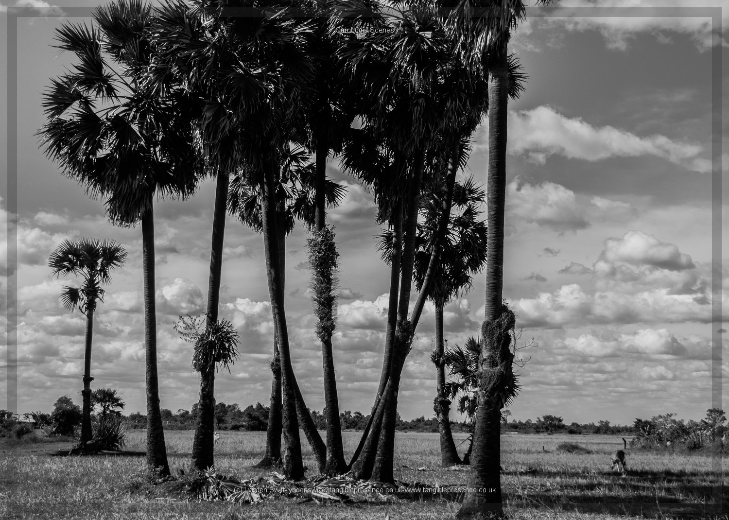  Cambodia. Lynden Swift. Tangible Presence Photography. 