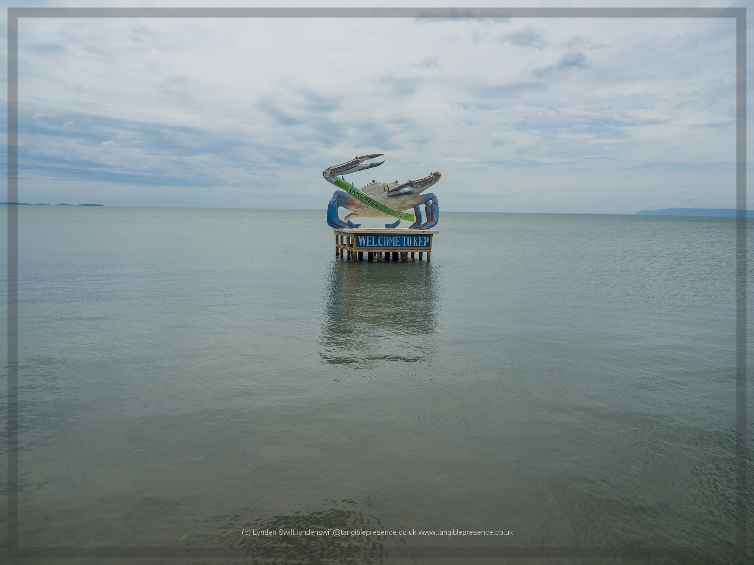  Crab. A celebration of. Just brilliant.  