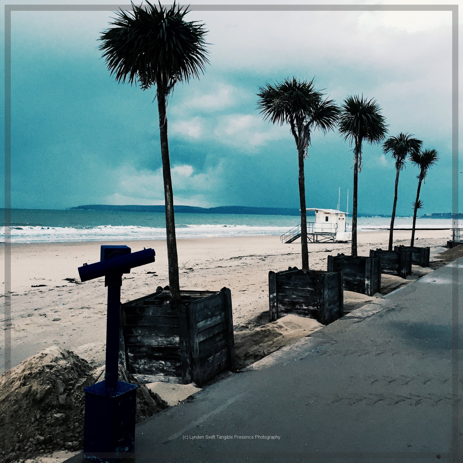  Truffula Trees on Bourmouth beach. | Tangible Presence | Photography by Lynden Swift 