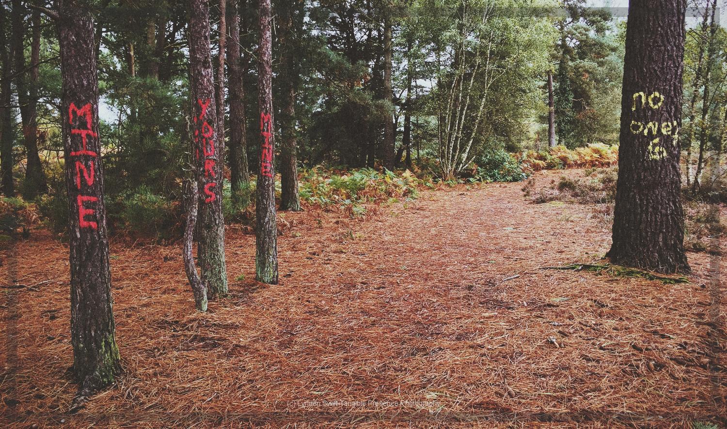  Creativity on St Catherines Hill, Christchurch | Tangible Presence | Photography by Lynden Swift 