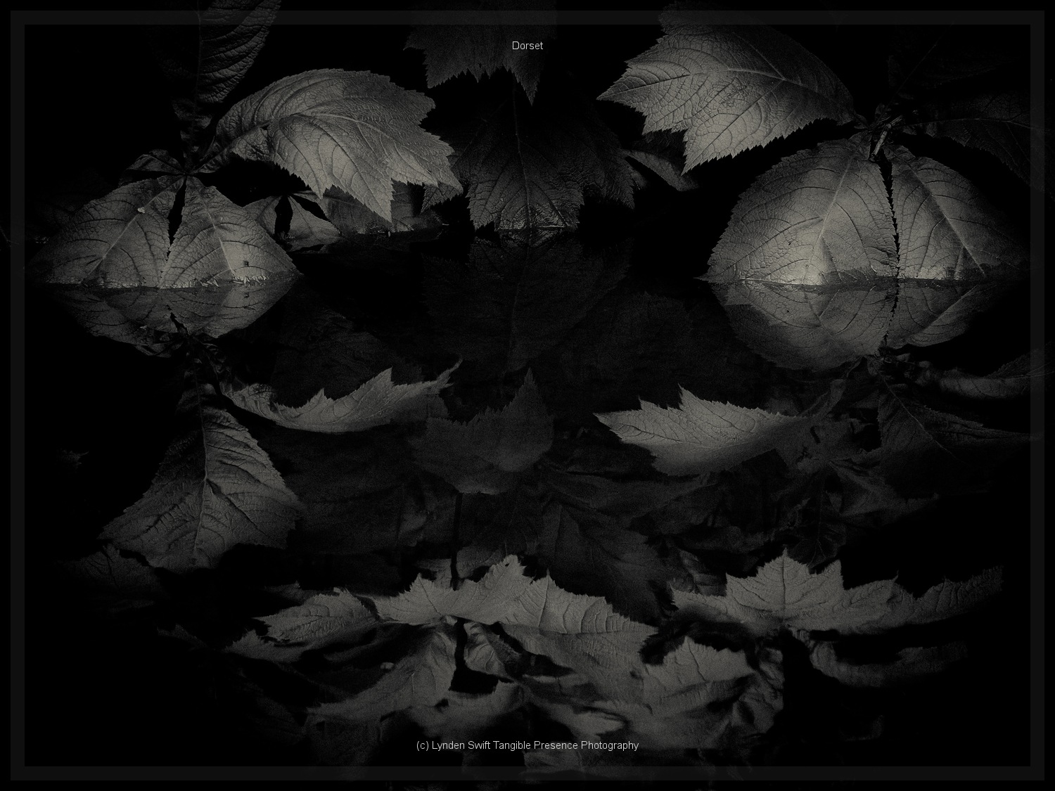  Minterne House | Tangible Presence | Photography by Lynden Swift 