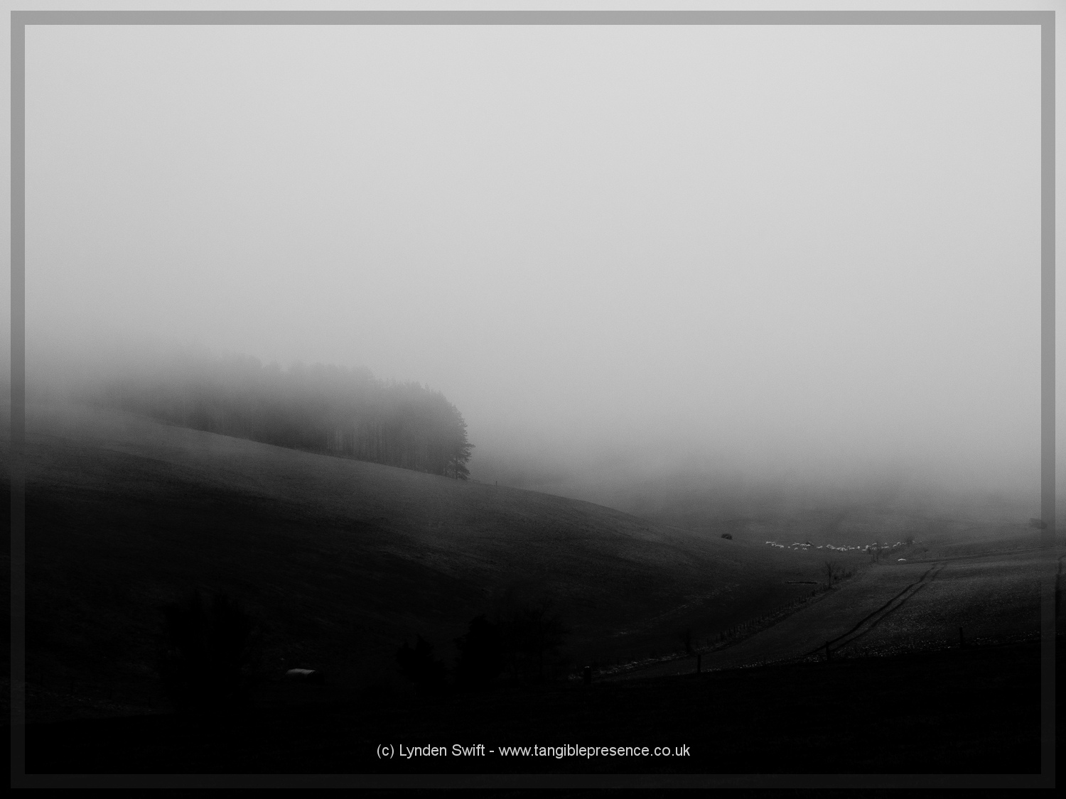  Nr Kingston Russel stone circle | Tangible Presence | Photography by Lynden Swift 