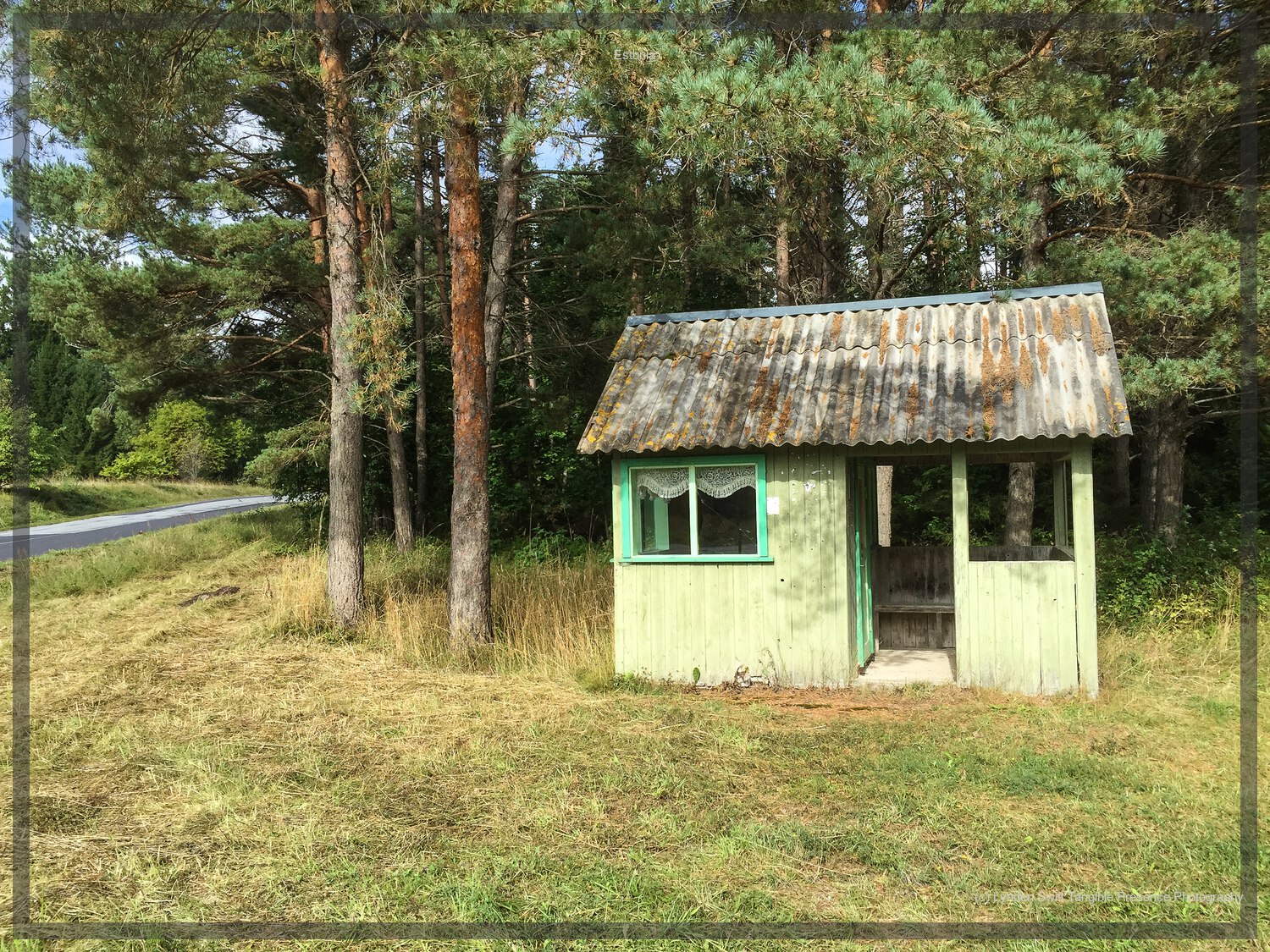  Bus stop with lace curtains. So civillised.  