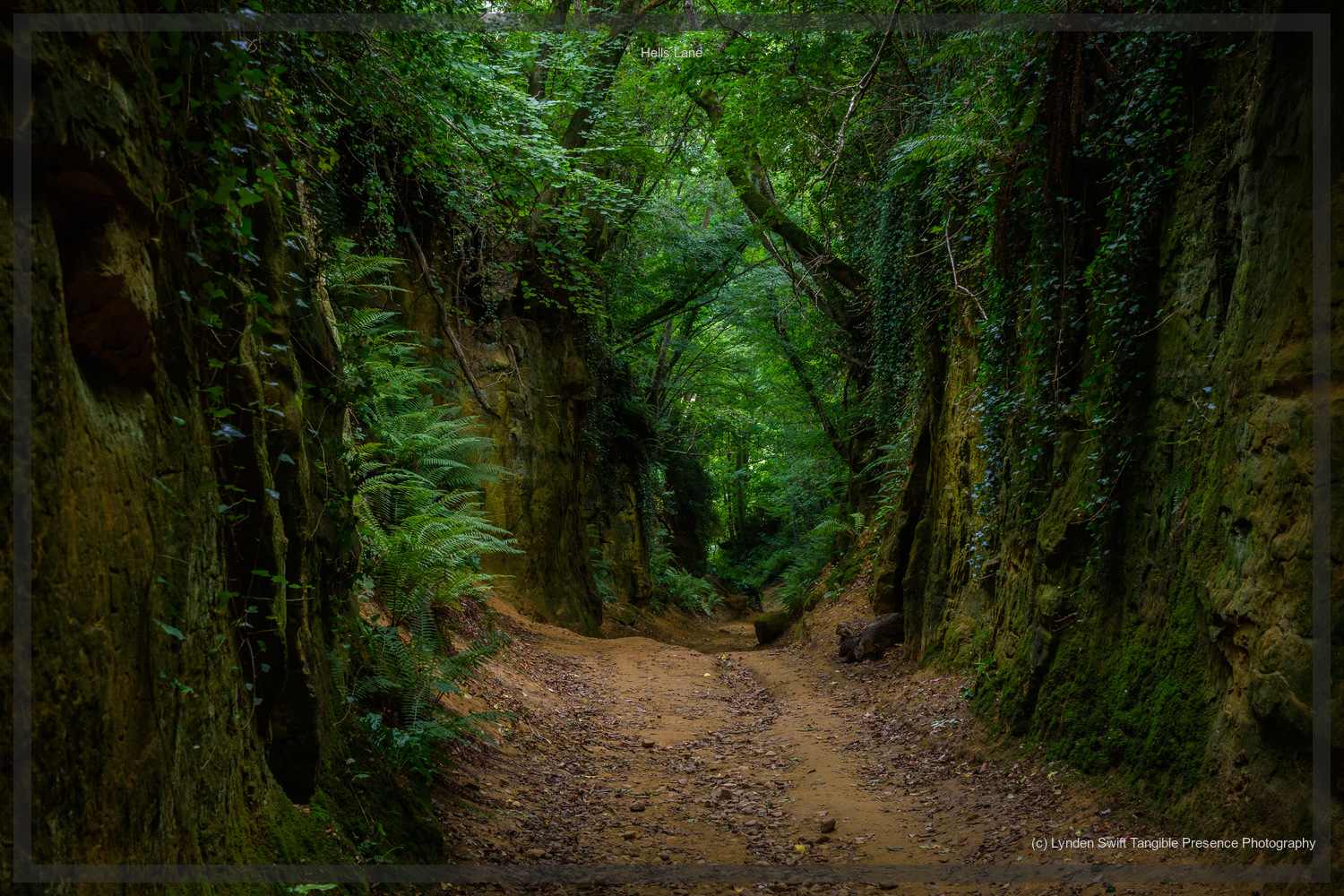  Hells Lane, Dorset | Tangible Presence | Photography by Lynden Swift 