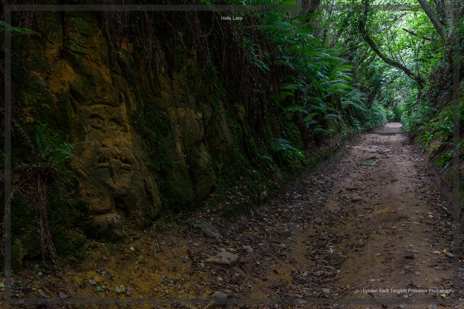  Hells Lane, Dorset | Tangible Presence | Photography by Lynden Swift 