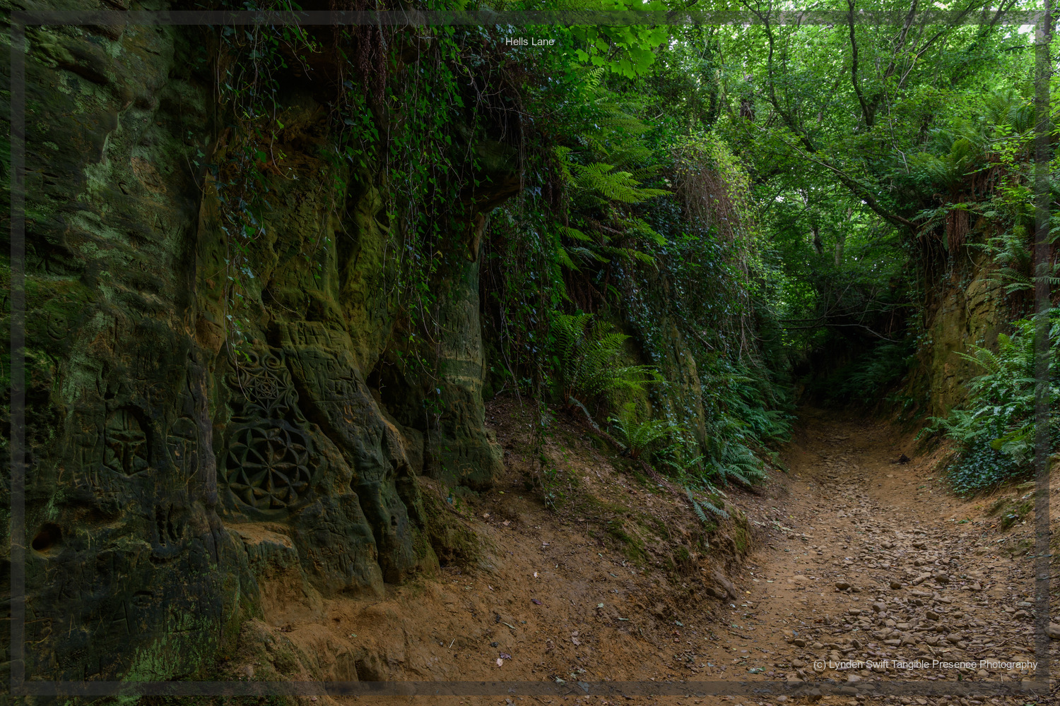 Hells Lane, Dorset | Tangible Presence | Photography by Lynden Swift 