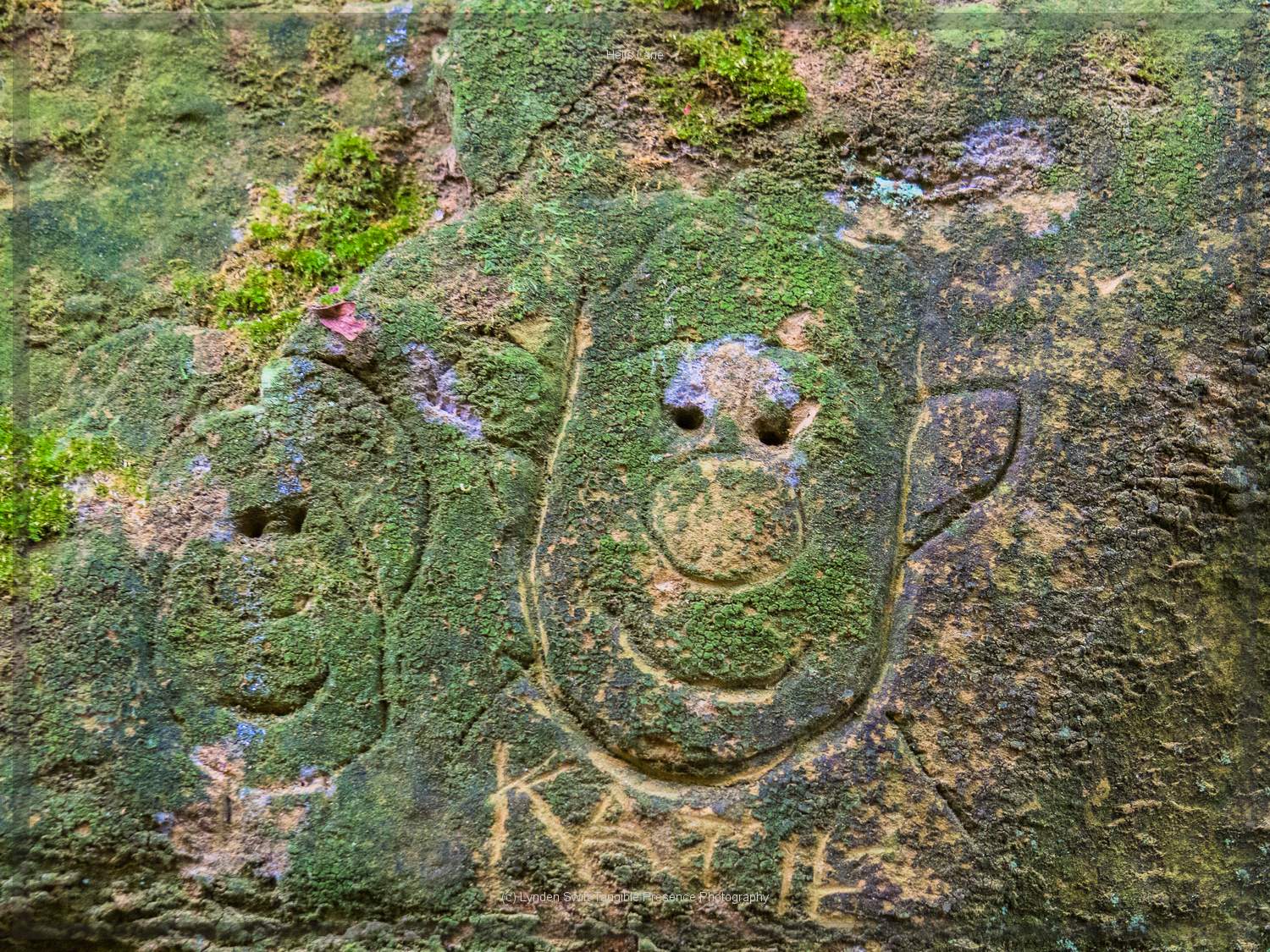  Mr & Mrs Potato Head. Hells Lane, Dorset | Tangible Presence | Photography by Lynden Swift 