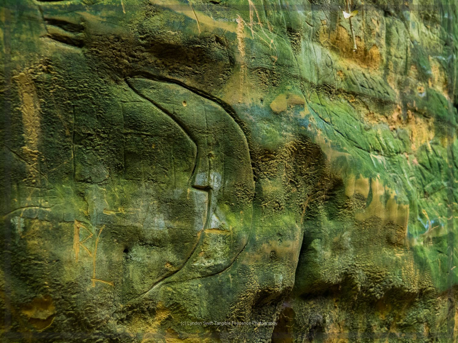  Moon. Hells Lane, Dorset | Tangible Presence | Photography by Lynden Swift 