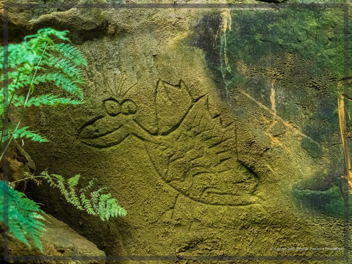  Dragon, Hells Lane, Dorset | Tangible Presence | Photography by Lynden Swift 