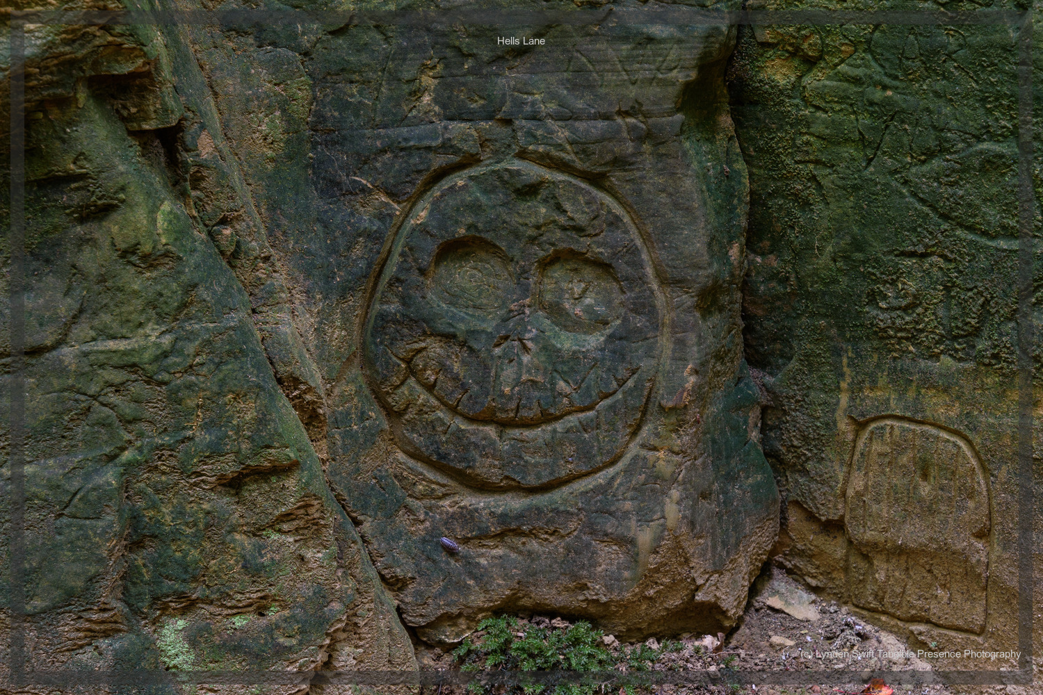  Face,  Hells Lane, Dorset | Tangible Presence | Photography by Lynden Swift 