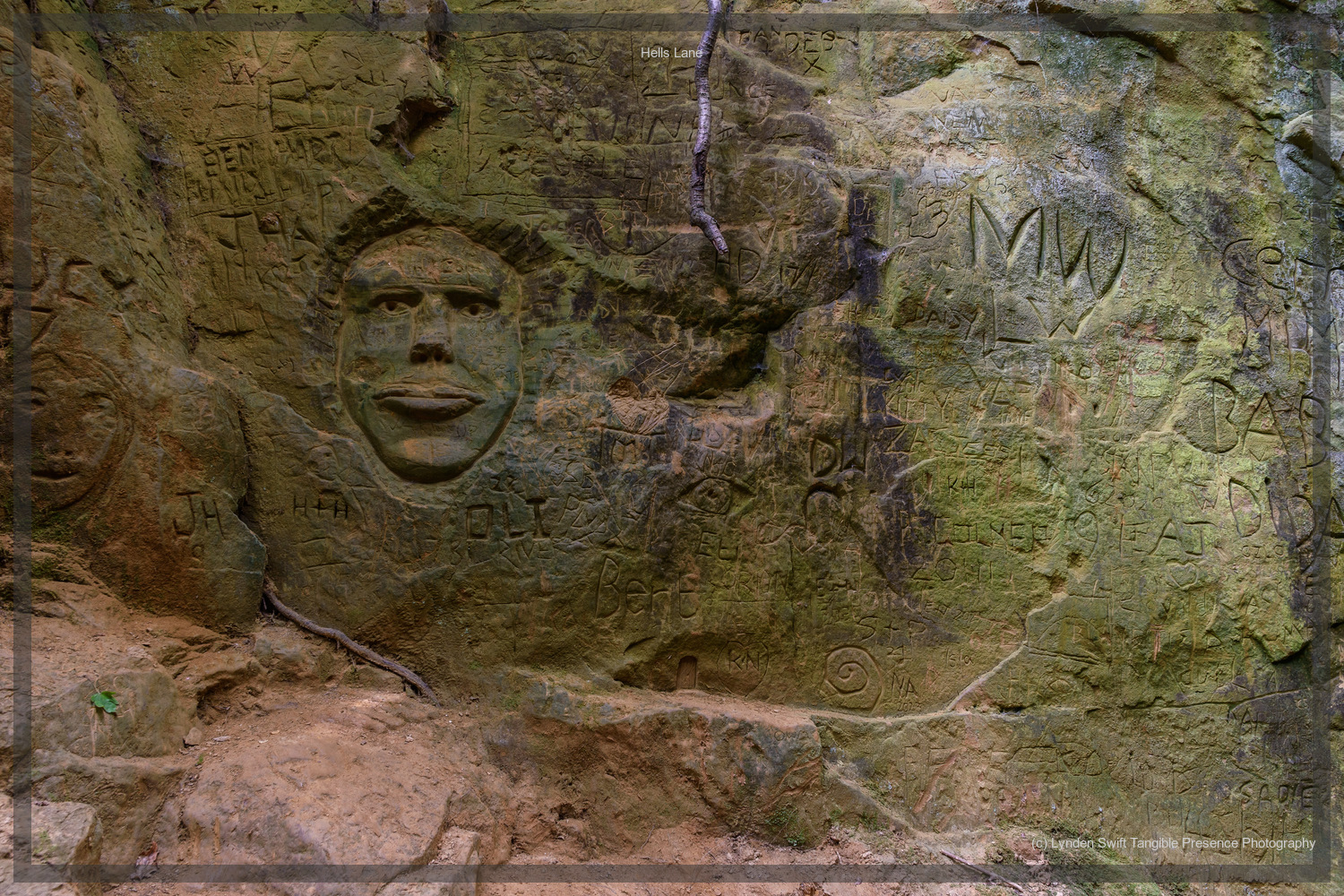  Collection of carvings,  Hells Lane, Dorset | Tangible Presence | Photography by Lynden Swift 