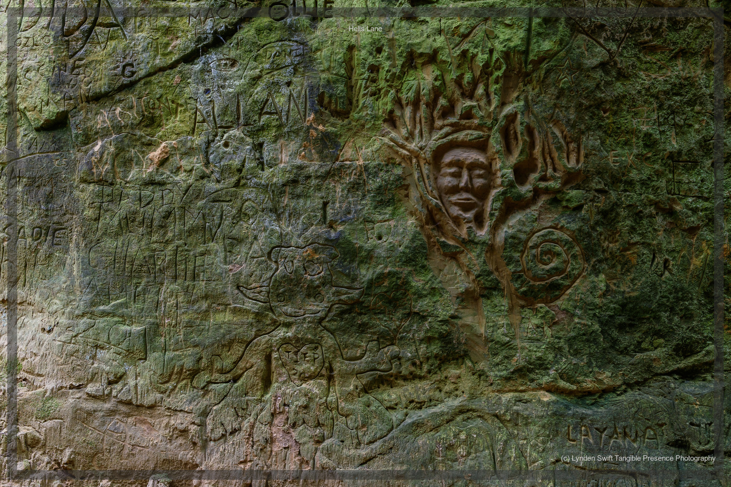  Collection of carvings,  Hells Lane, Dorset | Tangible Presence | Photography by Lynden Swift 