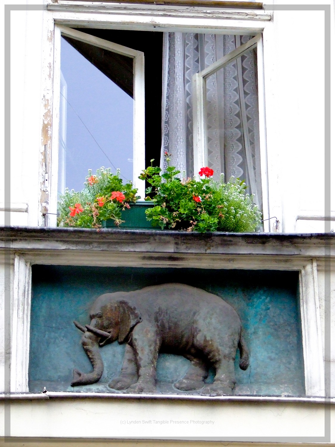  Krakow  | Tangible Presence | Photography by Lynden Swift 