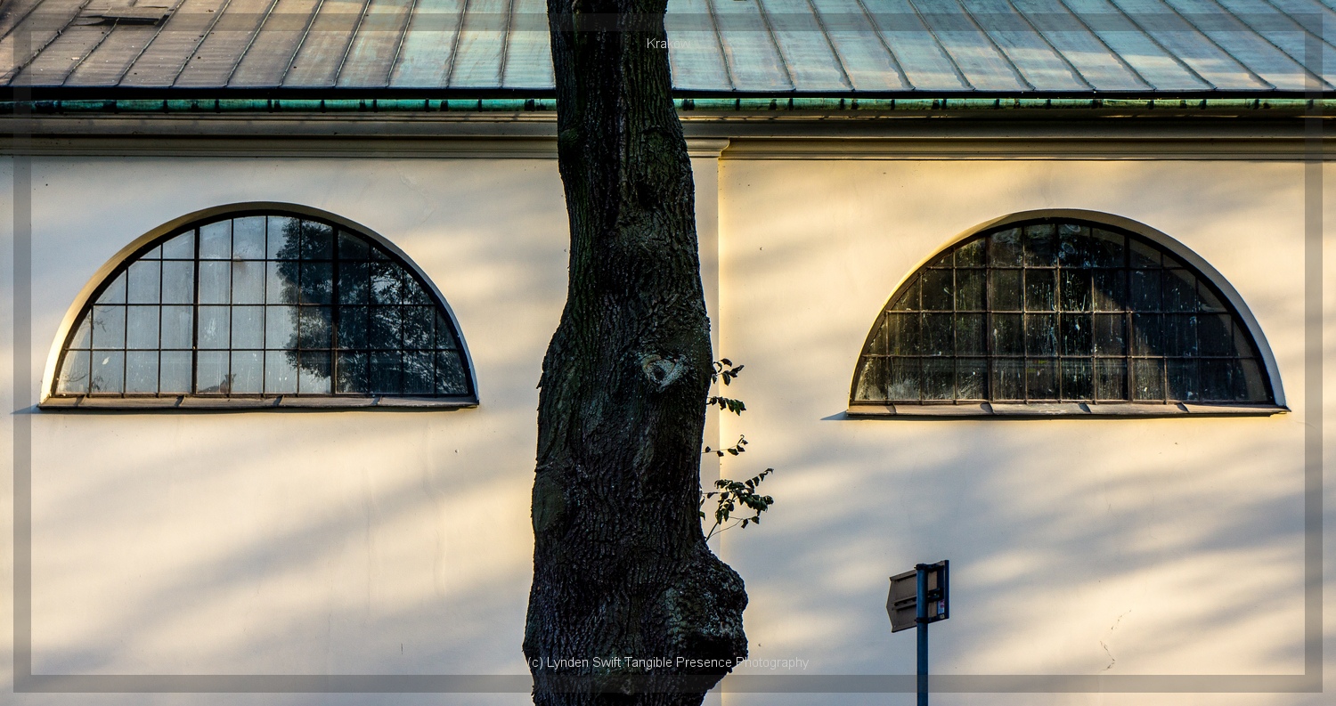 Window face  | Tangible Presence | Photography by Lynden Swift 