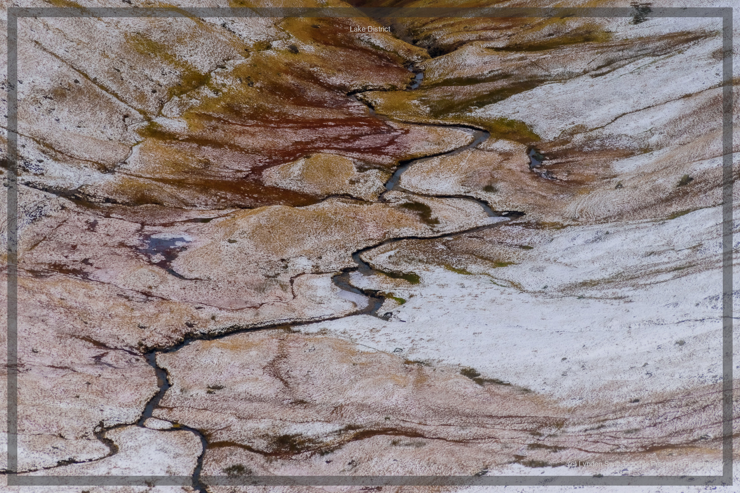  Winter Tree. Lake District. Lynden Swift Tangible Presence Photography. 
