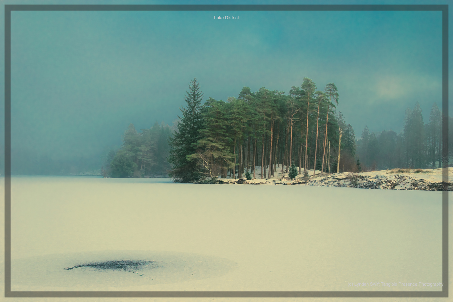  Money Tree. Lake District. Lynden Swift Tangible Presence Photography. 