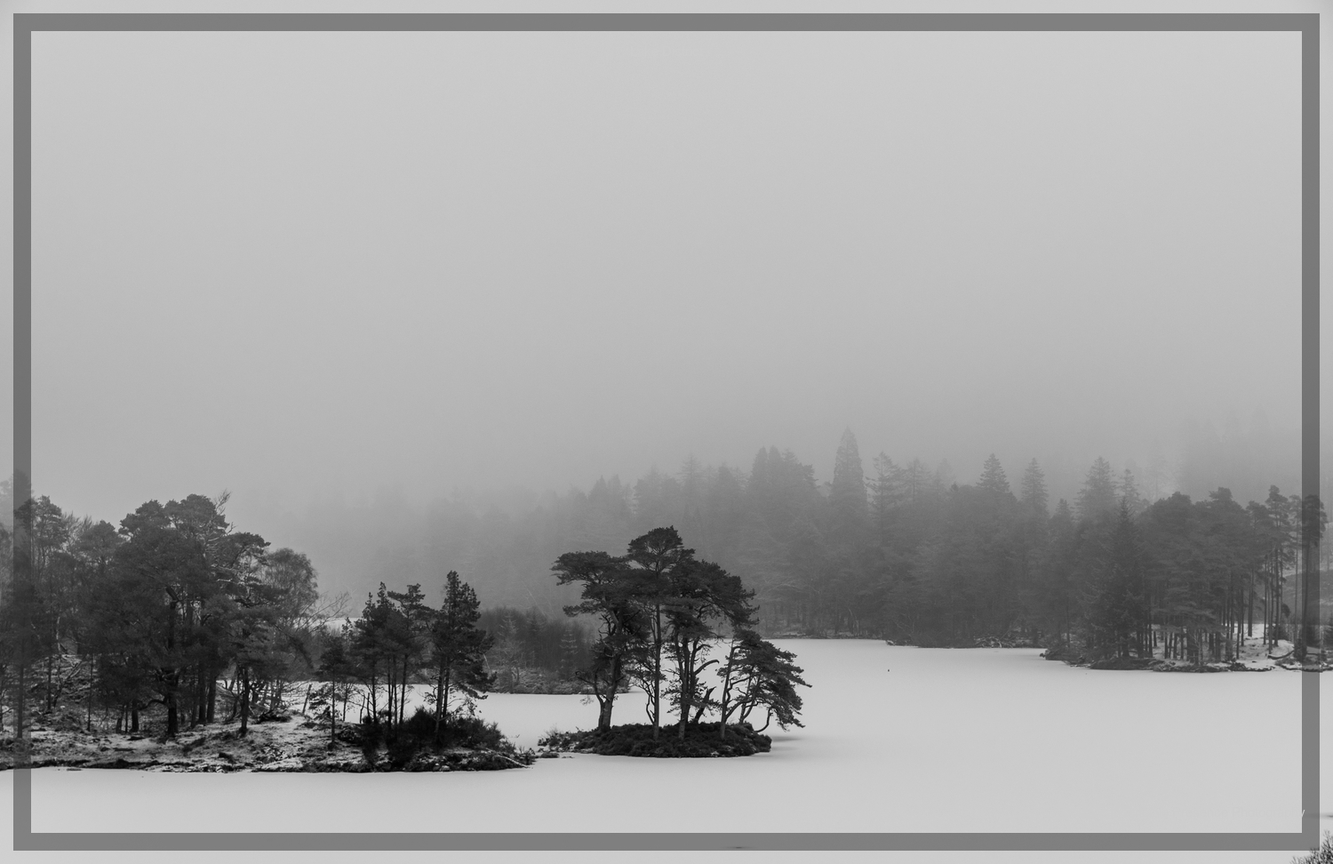  Grizedale Forest. Lake District. Lynden Swift Tangible Presence Photography. 