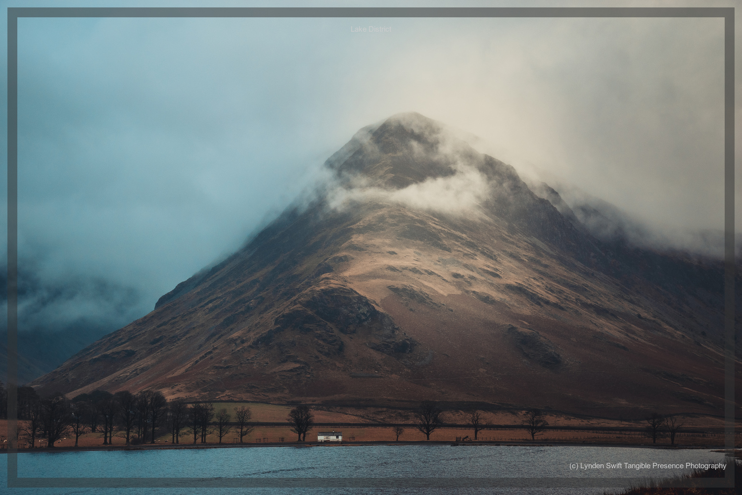  Grizedale Forest. Lake District. Lynden Swift Tangible Presence Photography. 