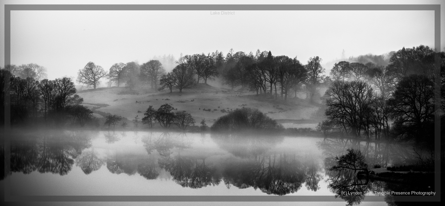  Grizedale Forest. Lake District. Lynden Swift Tangible Presence Photography. 