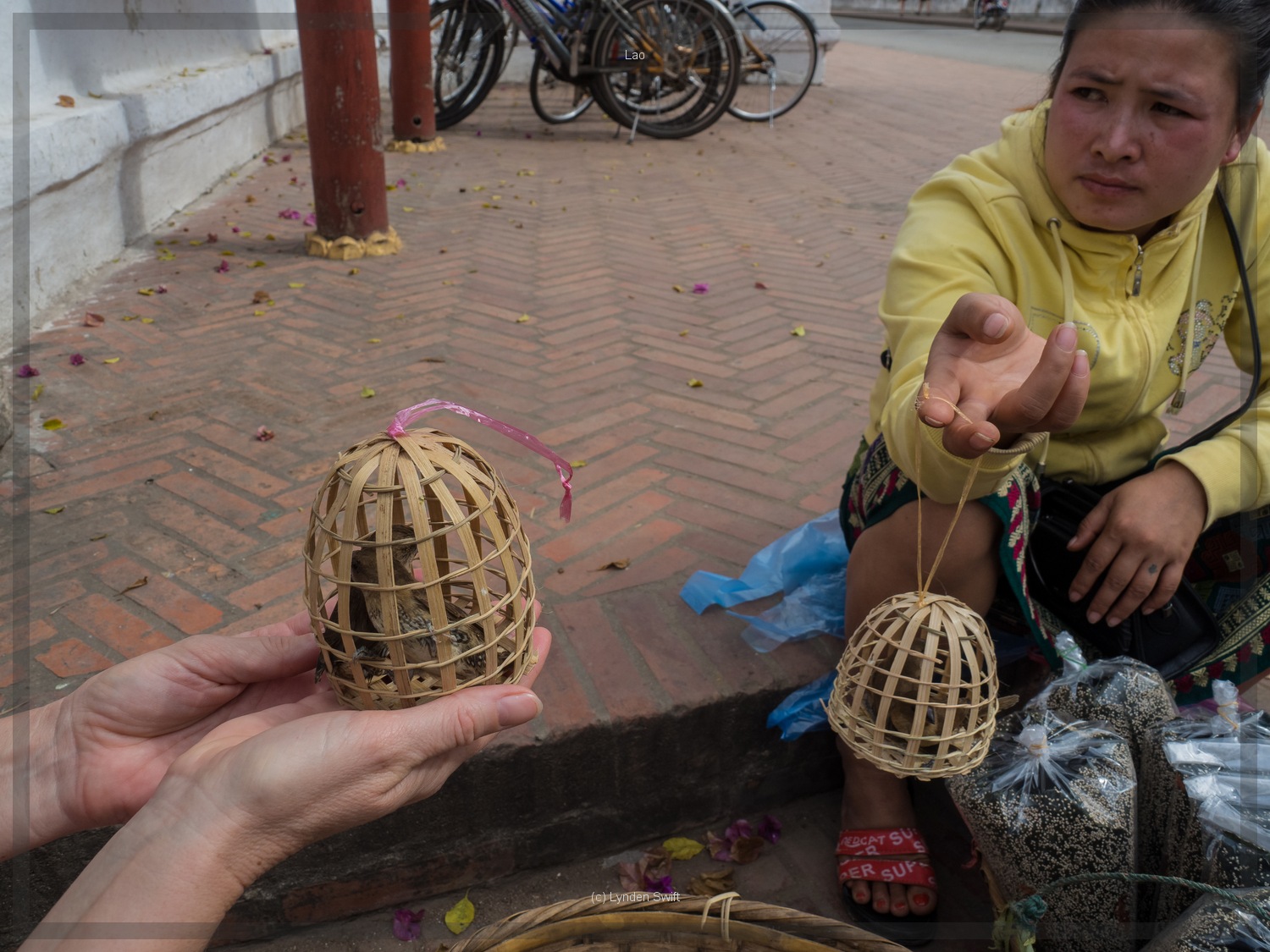  Woman selling 'good luck charm' birds. Lynden Swift. Tangible Presence Photography. 