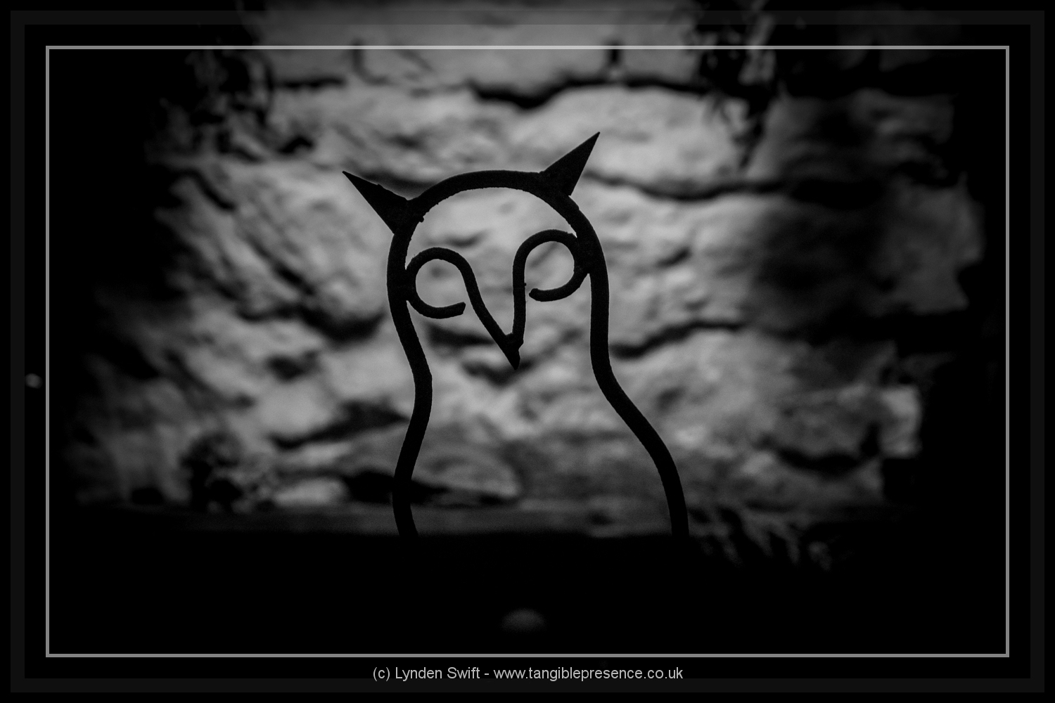  Owl. Lviv. Lynden Swift. Tangible Presence Photography. 