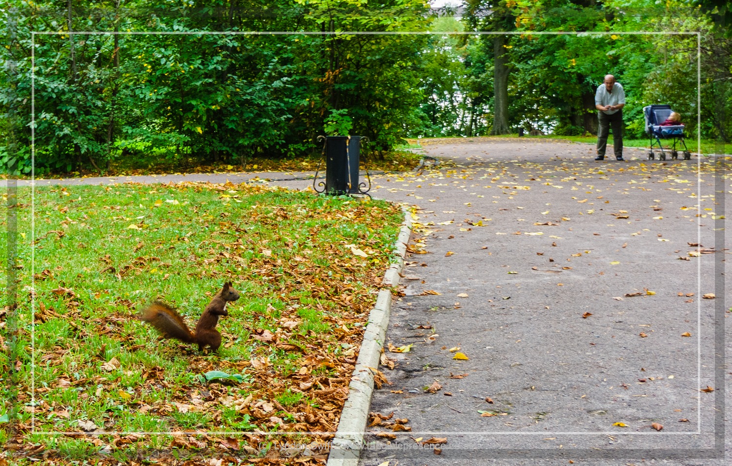  Squirrel. Lviv. Lynden Swift. Tangible Presence Photography. 