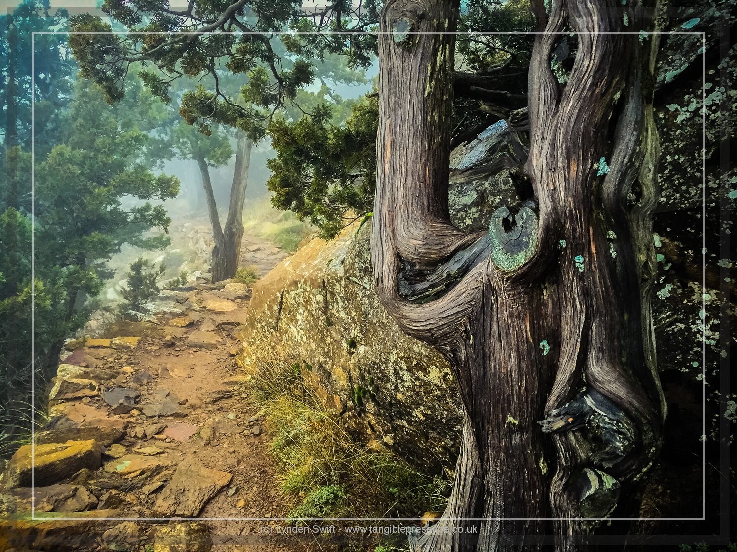  Walk of Artemis, Mount Olympus. Cyprus. Lynden Swift 