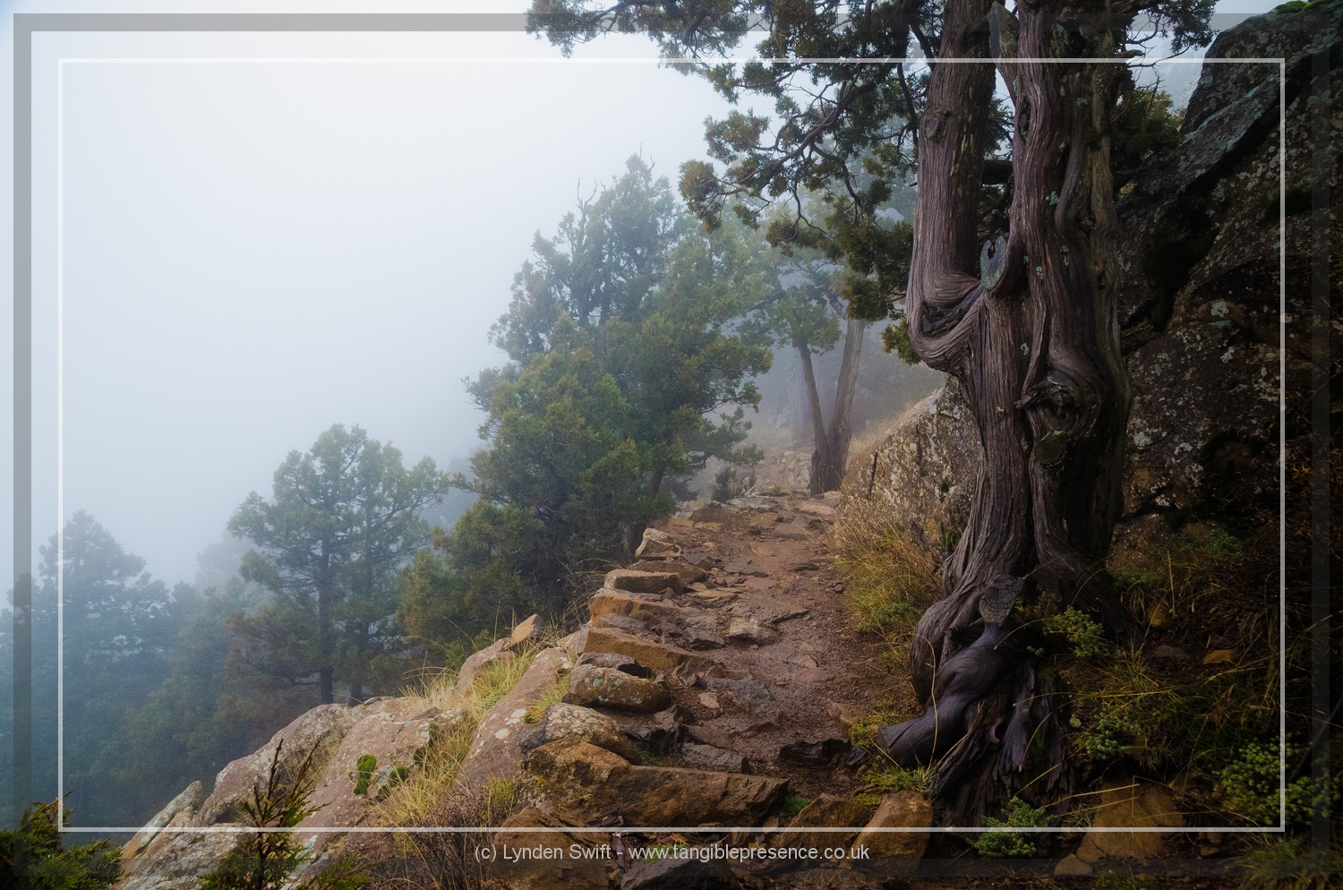  Walk of Artemis, Mount Olympus. Cyprus. Lynden Swift 