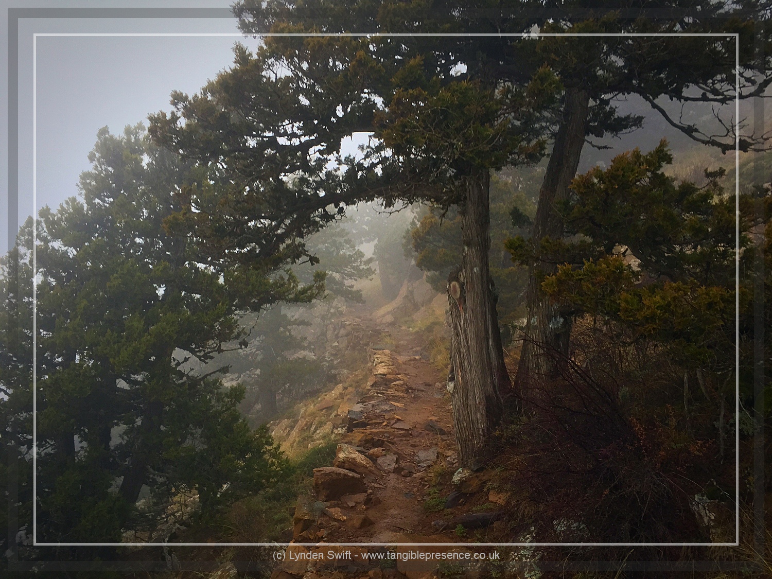  Walk of Artemis, Mount Olympus. Cyprus. Lynden Swift 
