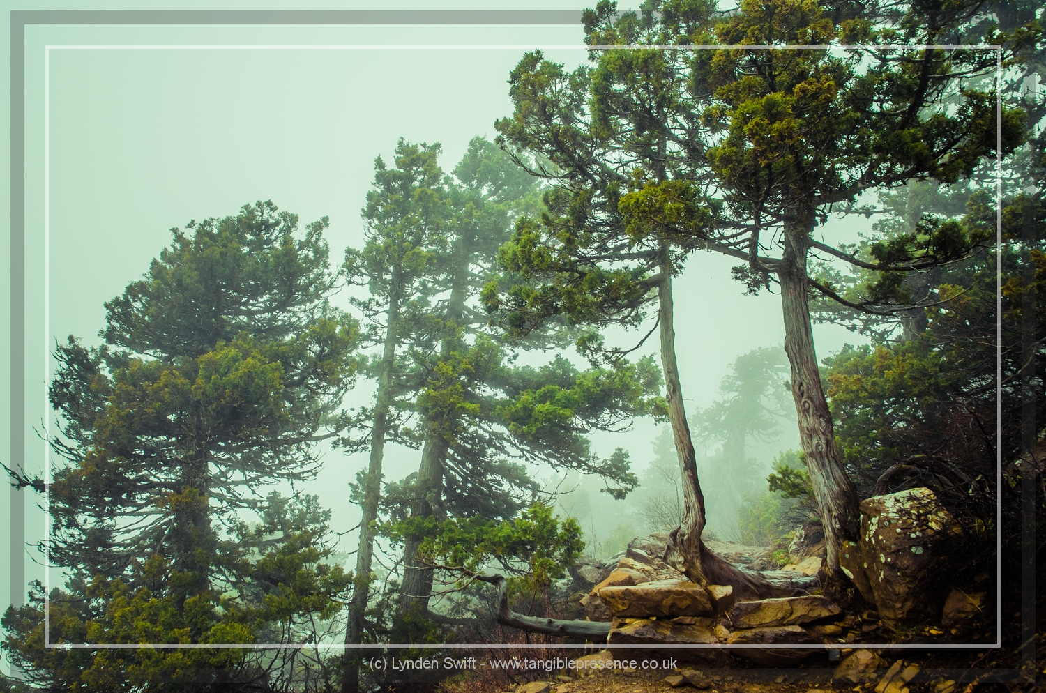  Walk of Artemis, Mount Olympus. Cyprus. Lynden Swift 