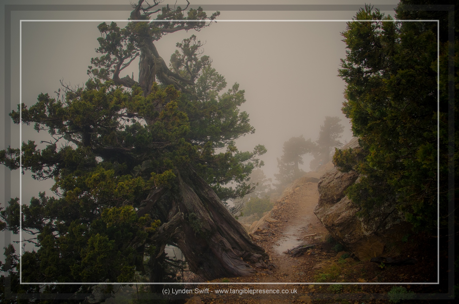  Walk of Artemis, Mount Olympus. Cyprus. Lynden Swift 