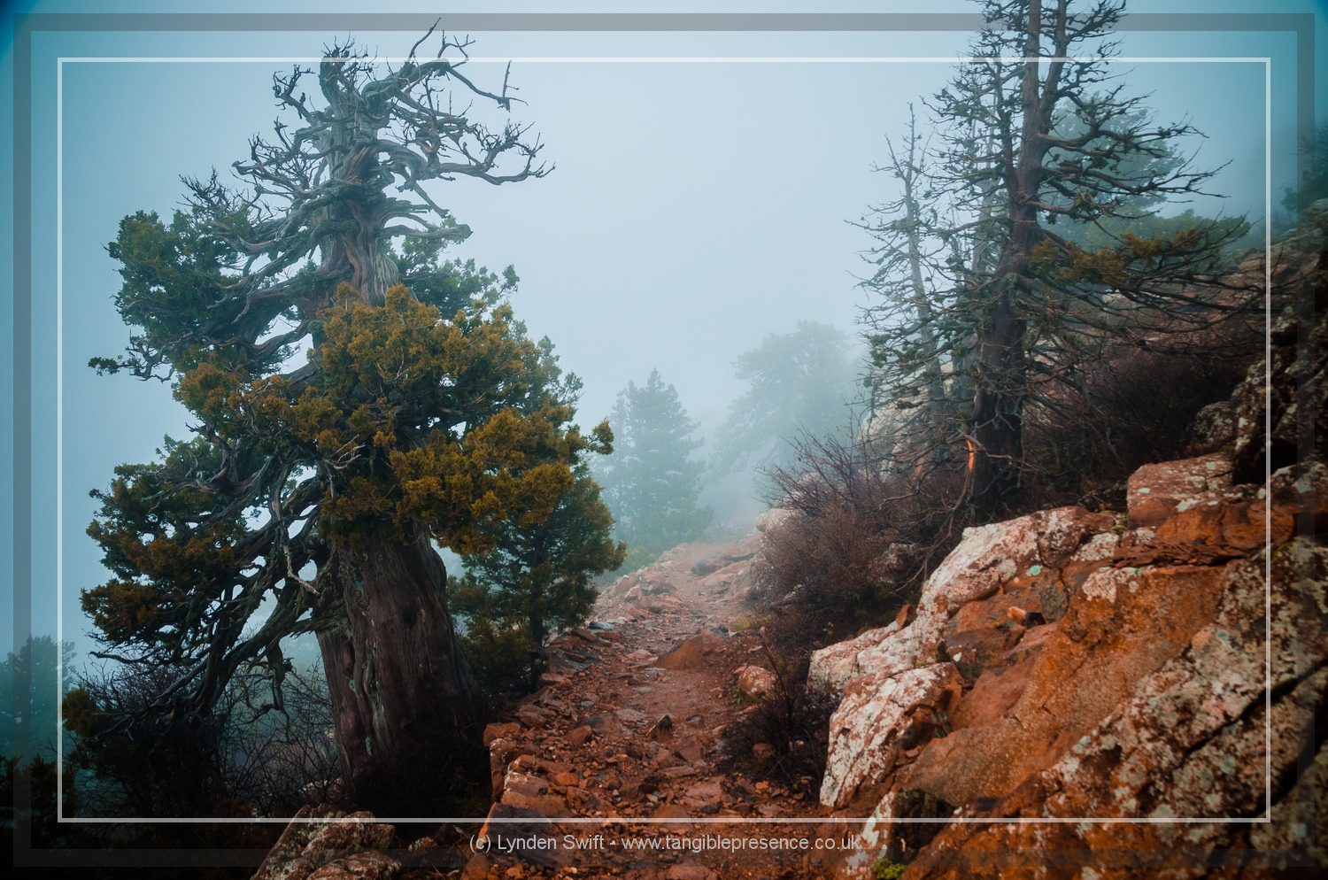  Walk of Artemis, Mount Olympus. Cyprus. Lynden Swift 