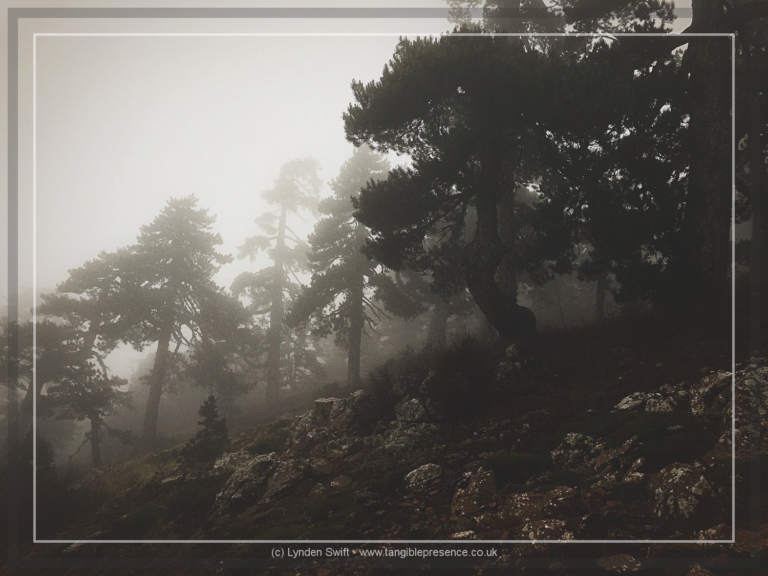  Walk of Artemis, Mount Olympus. Cyprus. Lynden Swift 