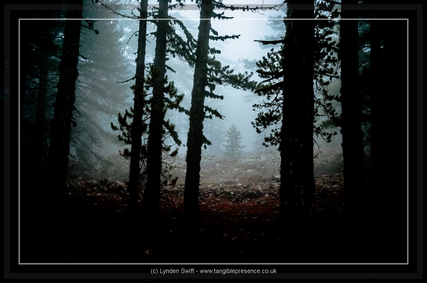  Walk of Artemis, Mount Olympus. Cyprus. Lynden Swift 