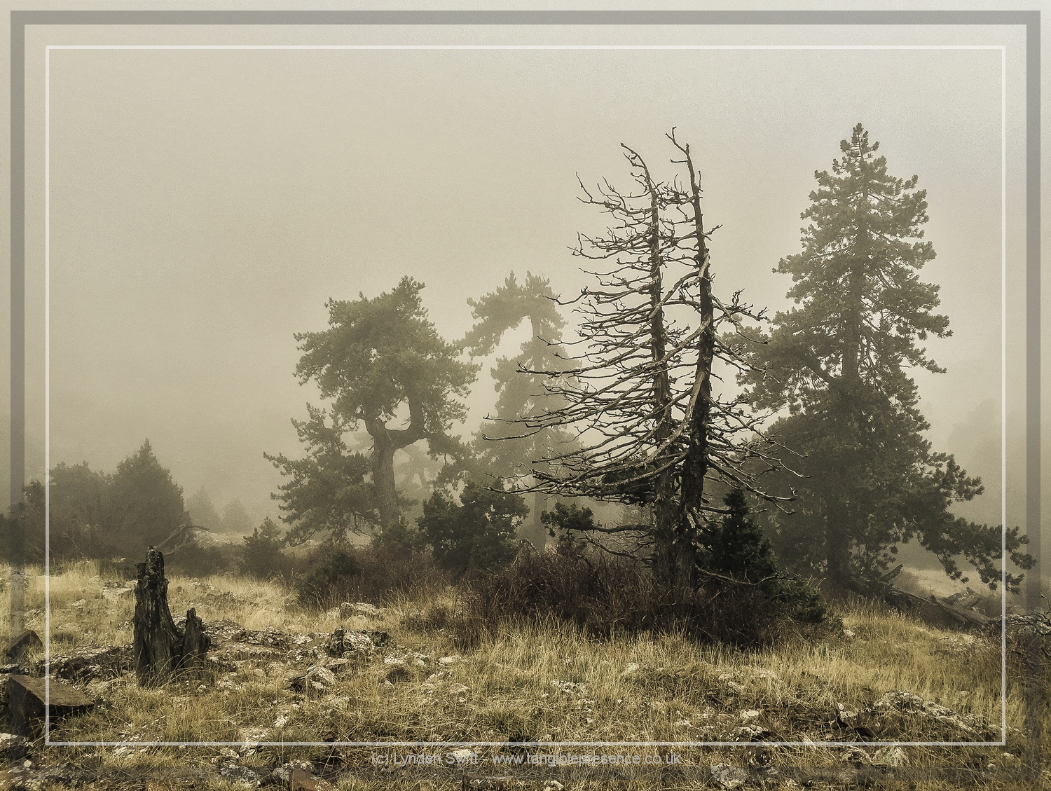  Walk of Artemis, Mount Olympus. Cyprus. Lynden Swift 