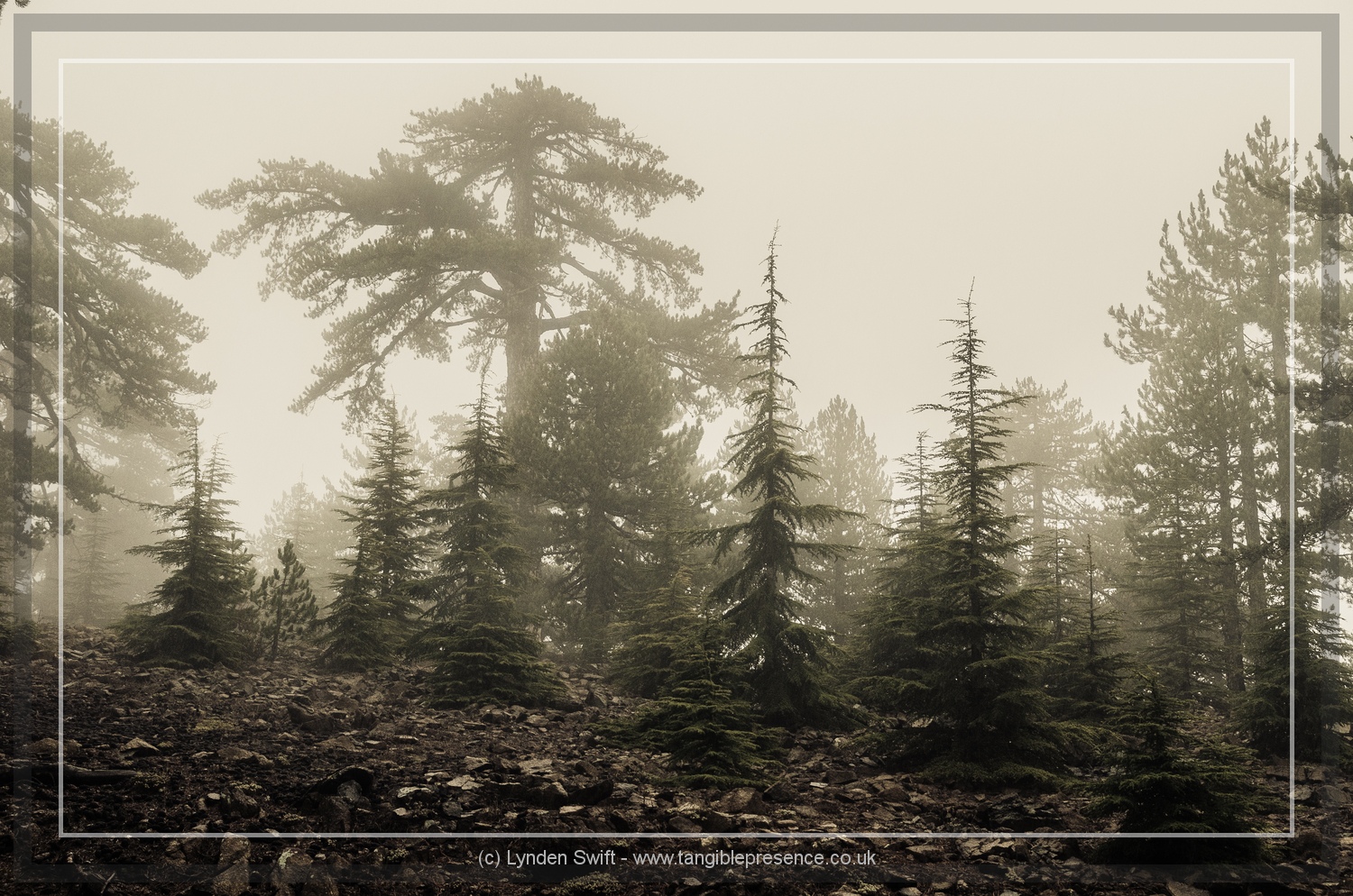  Walk of Artemis, Mount Olympus. Cyprus. Lynden Swift 