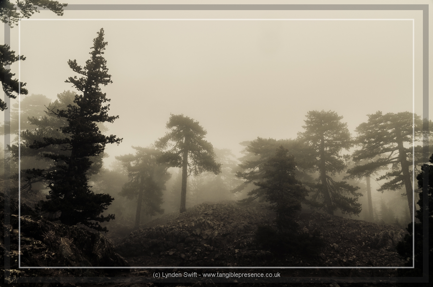  Walk of Artemis, Mount Olympus. Cyprus. Lynden Swift 