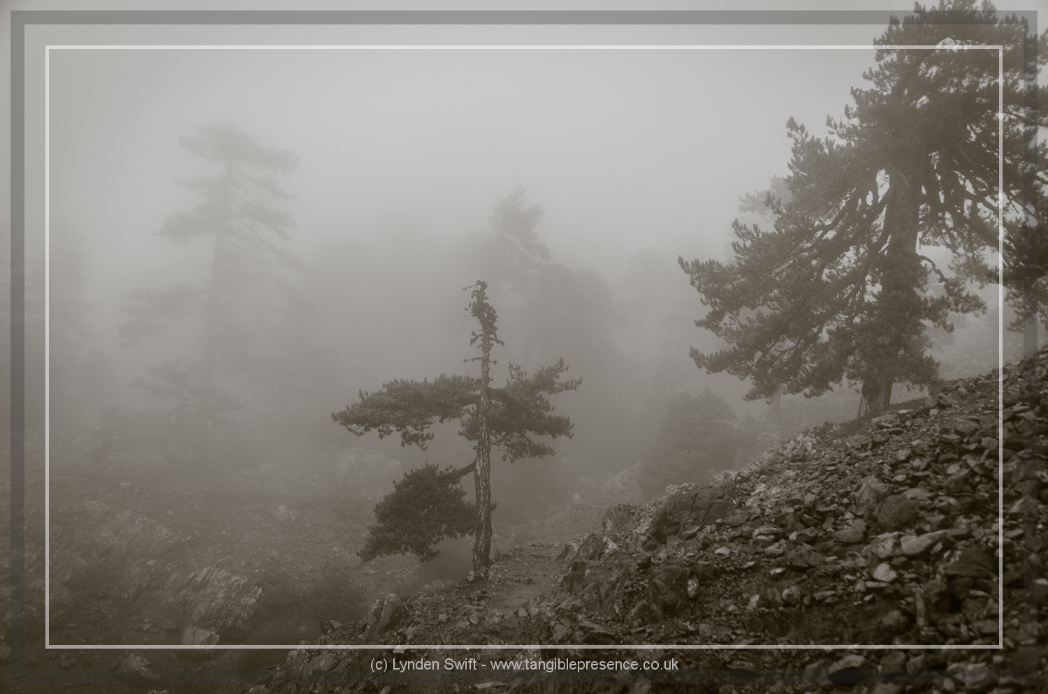  Walk of Artemis, Mount Olympus. Cyprus. Lynden Swift 