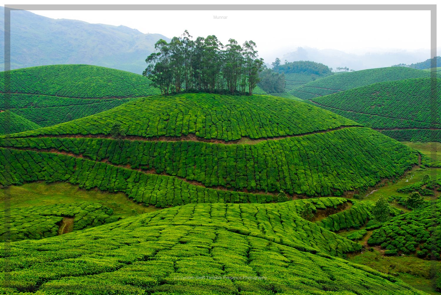  View from road to Cheenah.  | Tangible Presence | Photography by Lynden Swift 