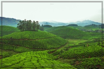  View from road to Chennar | Tangible Presence | Photography by Lynden Swift 