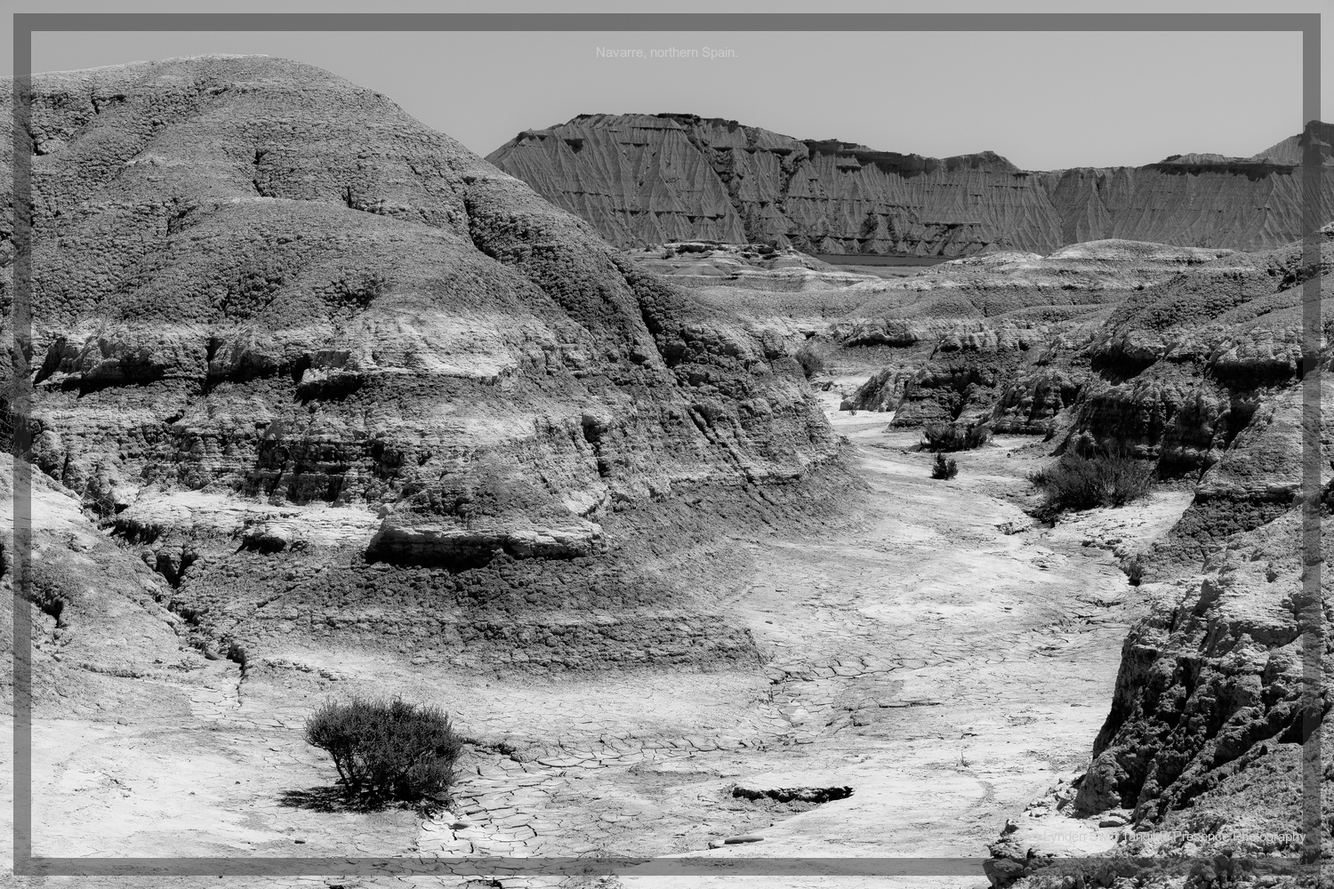  Bordales Reales National Park. Navarre, Spain.  