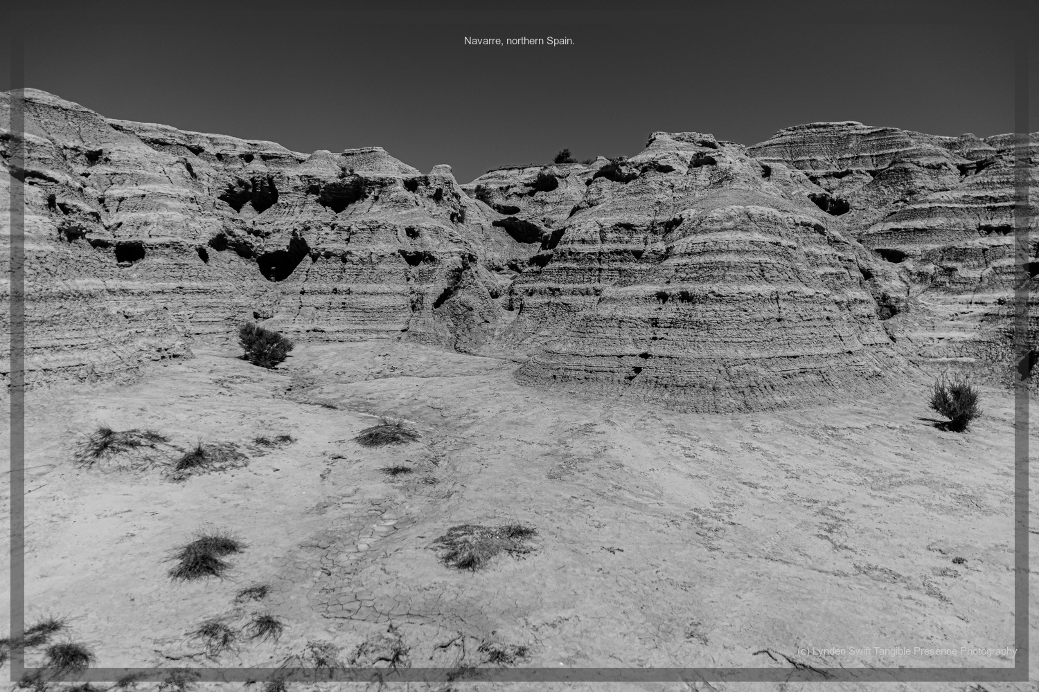  Bordales Reales National Park. Navarre, Spain.  